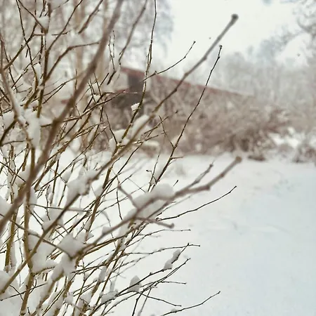 Close To The In * Kulhuse